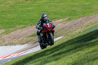 Oulton-Park-20th-March-2020;PJ-Motorsport-Photography-2020;anglesey;brands-hatch;cadwell-park;croft;donington-park;enduro-digital-images;event-digital-images;eventdigitalimages;mallory;no-limits;oulton-park;peter-wileman-photography;racing-digital-images;silverstone;snetterton;trackday-digital-images;trackday-photos;vmcc-banbury-run;welsh-2-day-enduro